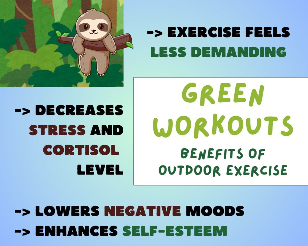 The benefits of green workout: exercise feels less demanding, decreases stress and cortisol level, lowers negative moods, enhances self-esteem