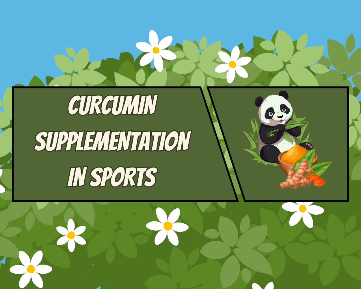 Curcumin for sports